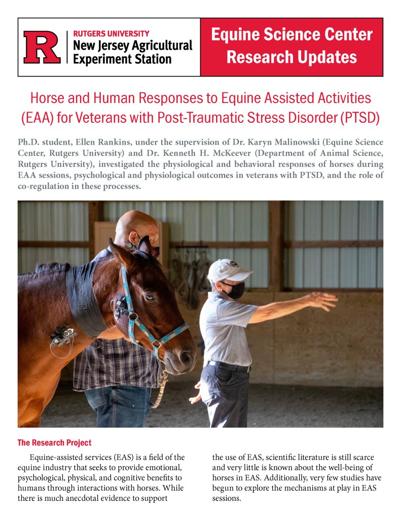 Image showcasing a researcher interacting with a horse, highlighting the study on equine-assisted activities for veterans with PTSD.