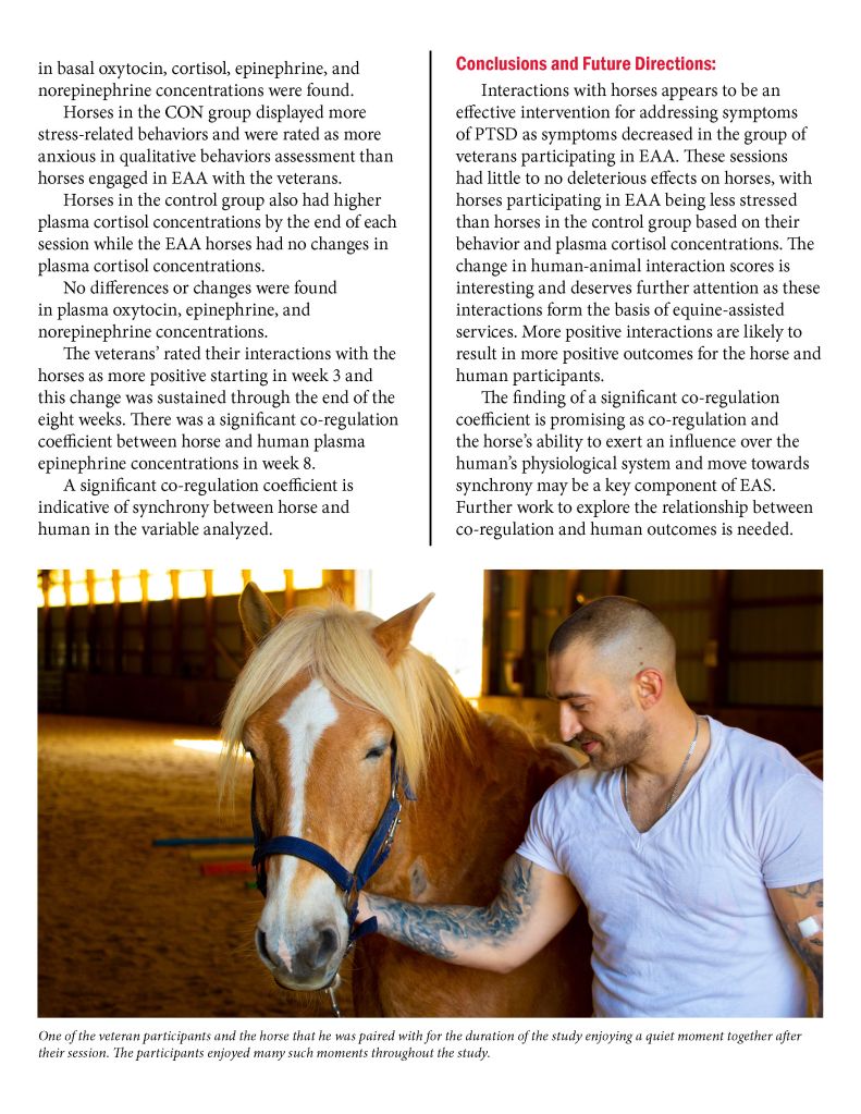 A veteran participant shares a quiet moment with a horse during an equine-assisted therapy session, highlighting the bond formed during the study.