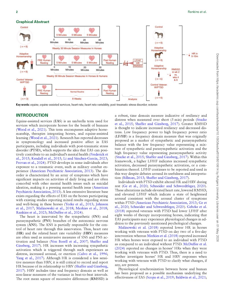 Graphical abstract highlighting the effects of equine-assisted services on heart rate and variability in humans and horses, featuring comparison among control and adaptive horsemanship groups.